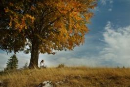 1087745_girl_under_tree