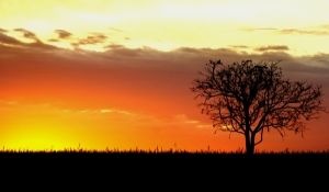 1253048_sunset_i